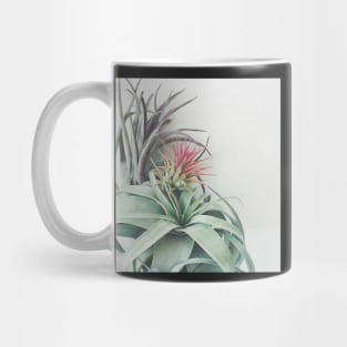 Air Plant Collection II Mug